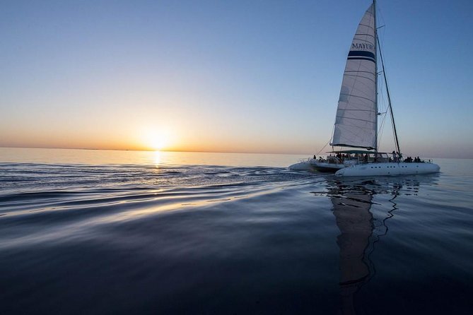 Day Catamaran Trip: Cap des Freus and Llevant Natural Park - Should you book the Blue Mediterranean?