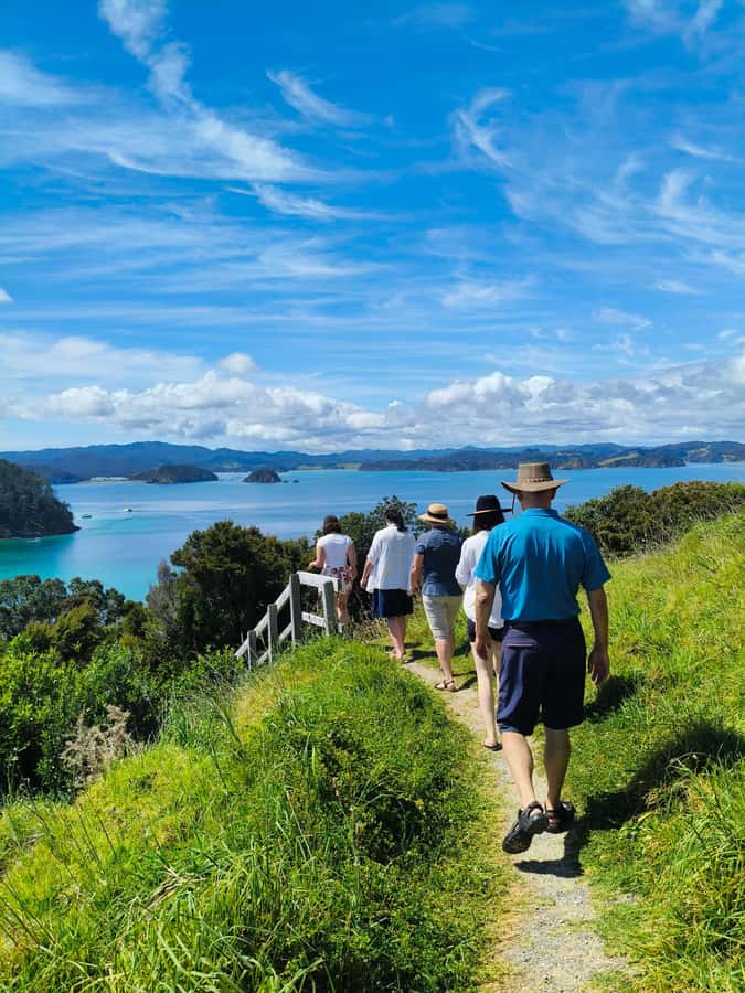 Day Sailing Charter on Catamaran with Lunch : Bay Of Islands - Key points at a glance