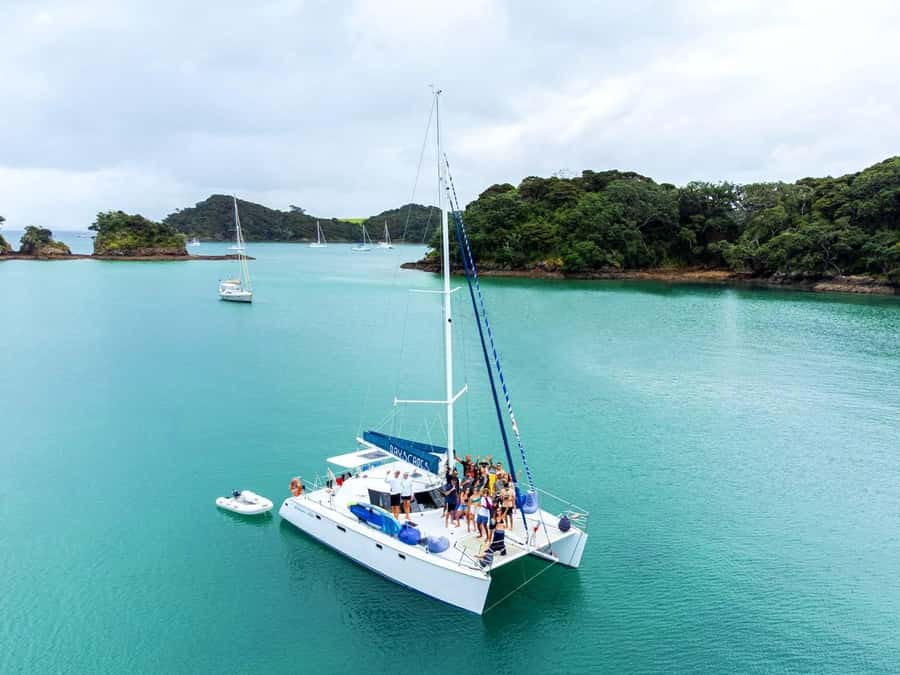 Day Sailing Charter on Catamaran with Lunch : Bay Of Islands - Booking tips for a smoother day