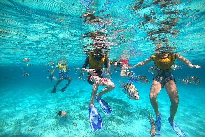 Deluxe Catamaran to Isla Mujeres with Open Bar from Cancun - The return sail to Cancun