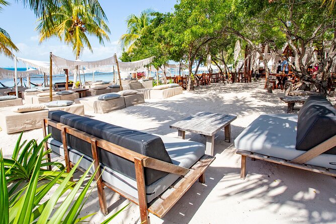 Deluxe Catamaran tour to Isla Mujeres with Open Bar and Lunch - Who will enjoy this day most