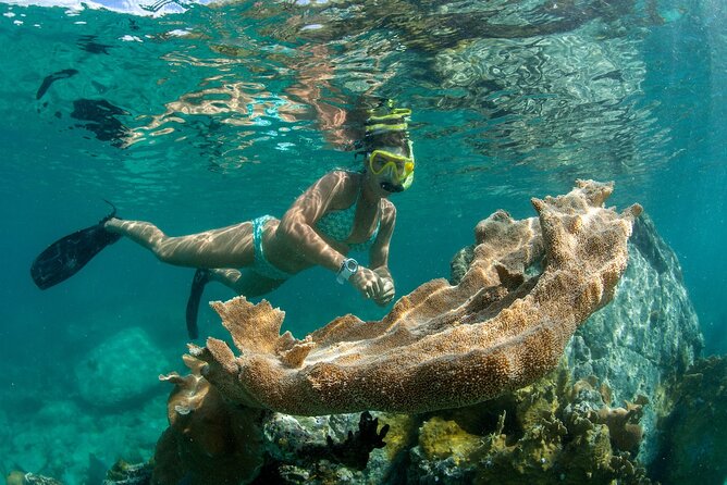 Deluxe Half-Day Snorkel Sail on Lady Grace Luxury Catamaran - When the reef is not safe