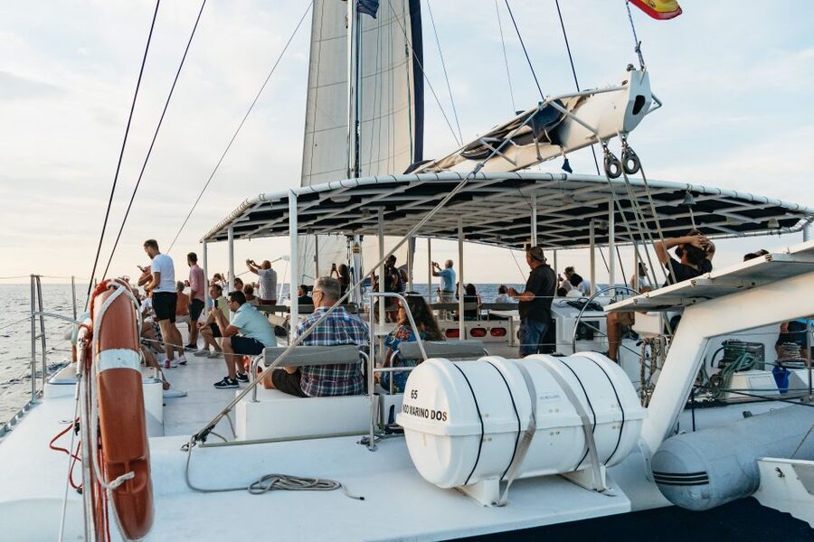 Dénia: Daytime or Sunset Catamaran Cruise - Practical tips for a smoother outing