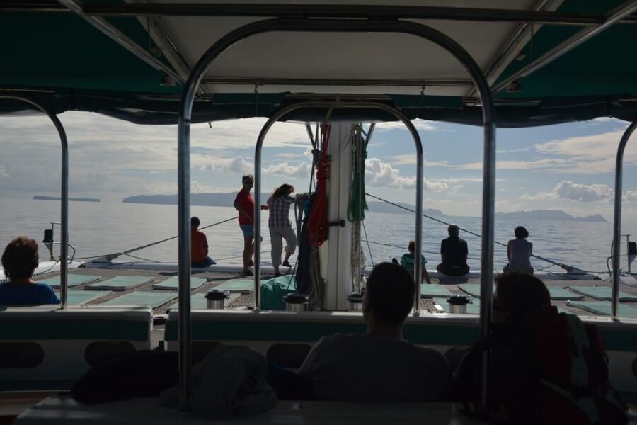 Desertas Islands Full-Day Catamaran Trip from Funchal - Key points at a glance