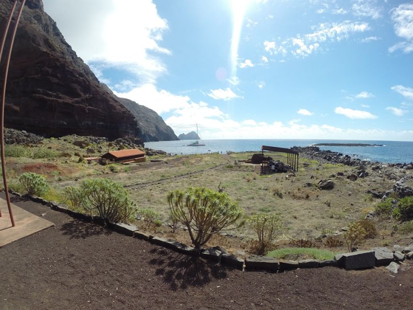 Desertas Islands Full-Day Catamaran Trip from Funchal - Who should book this day out?