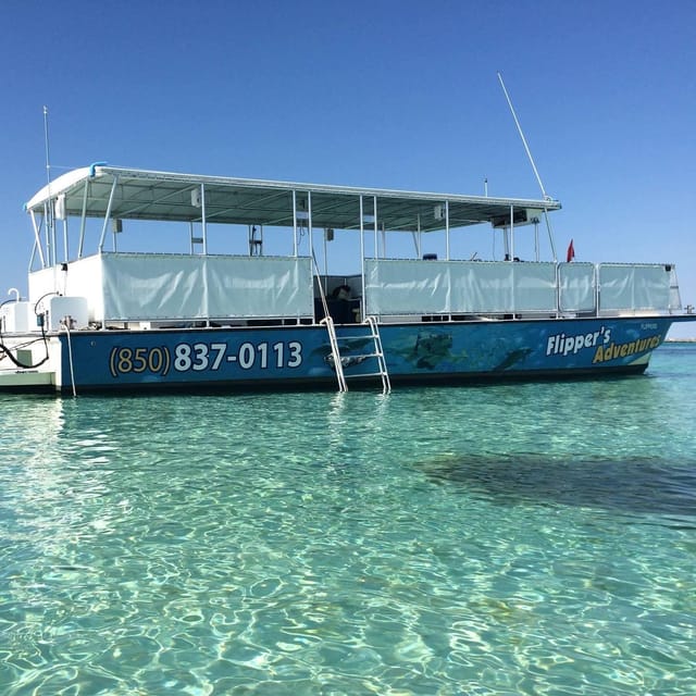 Destin: Crab Island Catamaran Tour with Dolphin Watching - The dolphin search comes before the sandbar