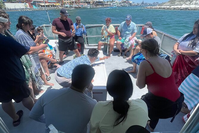 Destin Crab Island Tour in Catamaran - Who will enjoy this Crab Island tour most?