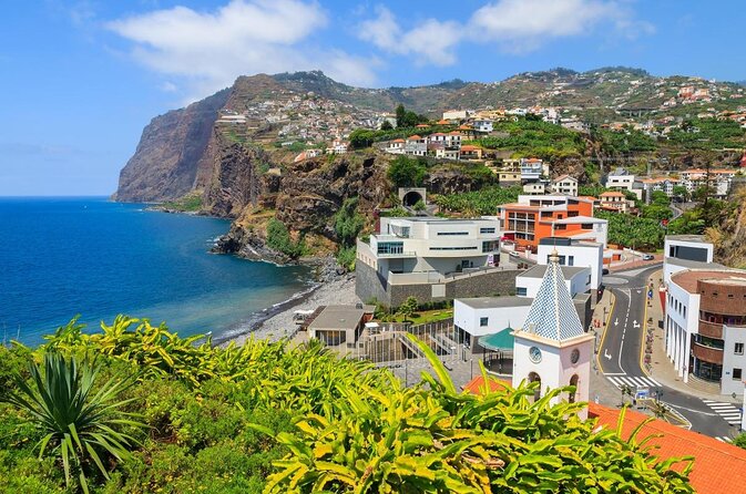 Dolphin and Whale Watching Catamaran Cruise from Funchal - Key points to know before booking