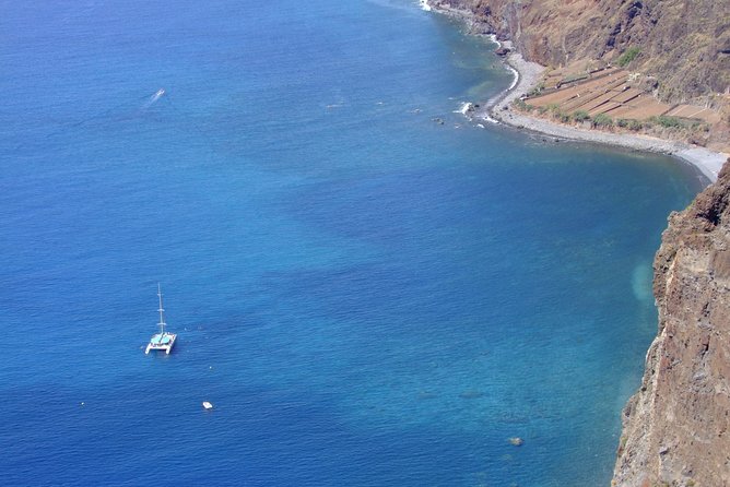 Dolphin and Whale Watching Catamaran Cruise from Funchal - Who should choose this cruise