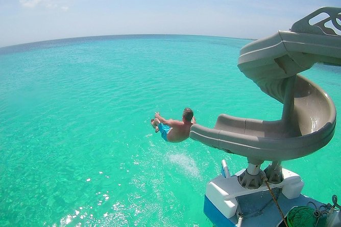 Dolphin Catamaran Snorkel and Sail with Open Bar - Key points before you book