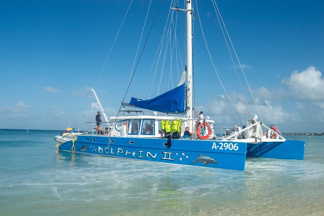 Dolphin Catamaran Snorkel and Sail with Open Bar - Who will get the most from this catamaran trip
