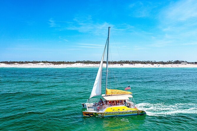 Dolphin Sightseeing Tour on the Footloose Catamaran - A 40-foot catamaran built around the dolphin search