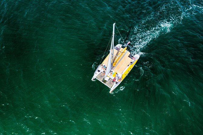 Dolphin Sightseeing Tour on the Footloose Catamaran - Shell Island and the wider route