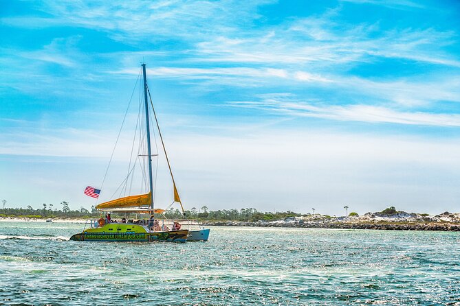 Dolphin Sightseeing Tour on the Footloose Catamaran - Wind, weather, and what to wear