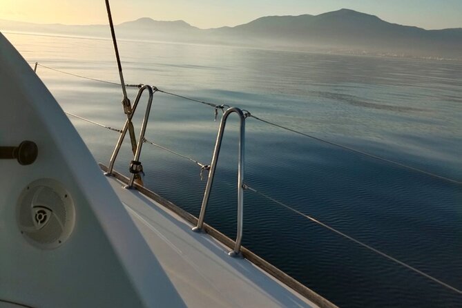 Dolphin trips on a catamaran - What dolphin watching is really like