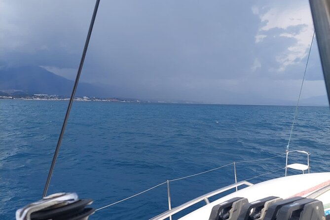 Dolphin trips on a catamaran - Who will enjoy this catamaran trip most