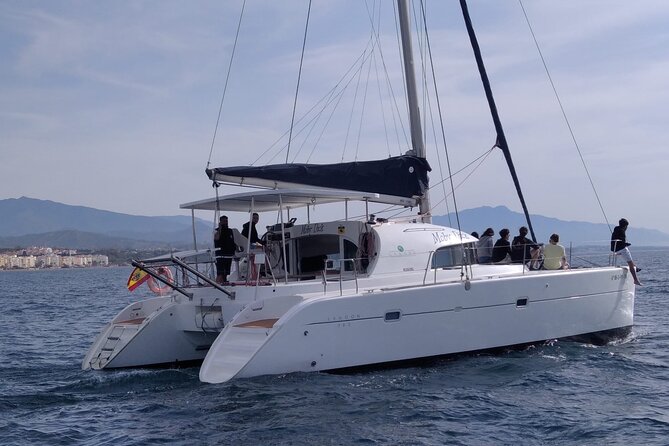 Dolphin trips on a catamaran - Should you book it?