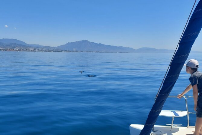 Dolphin trips on a catamaran - Swimming offshore when the sea allows