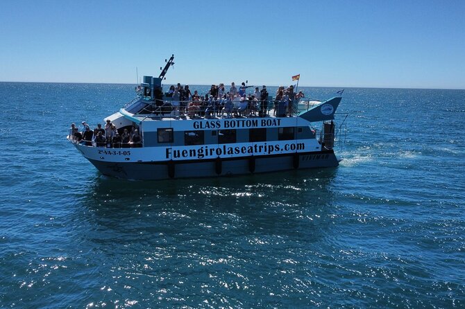 Dolphin watching on a Catamaran in Fuengirola - Starting at Puerto Deportivo Fuengirola