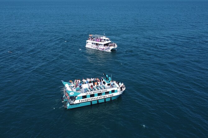 Dolphin watching on a Catamaran in Fuengirola - The real question: will you see dolphins?
