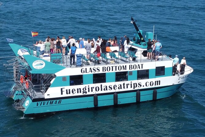 Dolphin watching on a Catamaran in Fuengirola - Choosing the best place on the catamaran
