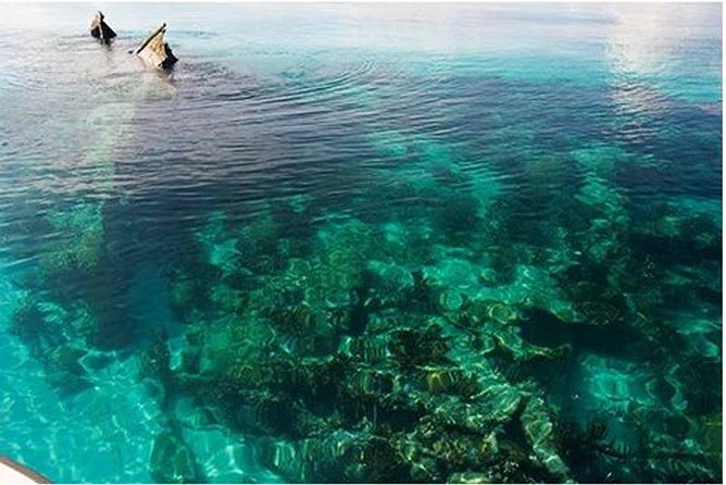 Dry Tortugas National Park Day Trip by Catamaran from Key West - Key points to know before booking