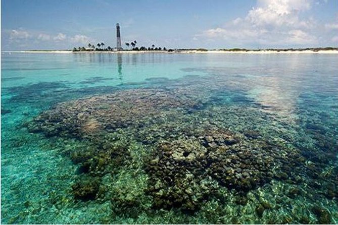 Dry Tortugas National Park Day Trip by Catamaran from Key West - Who should take this Dry Tortugas trip?