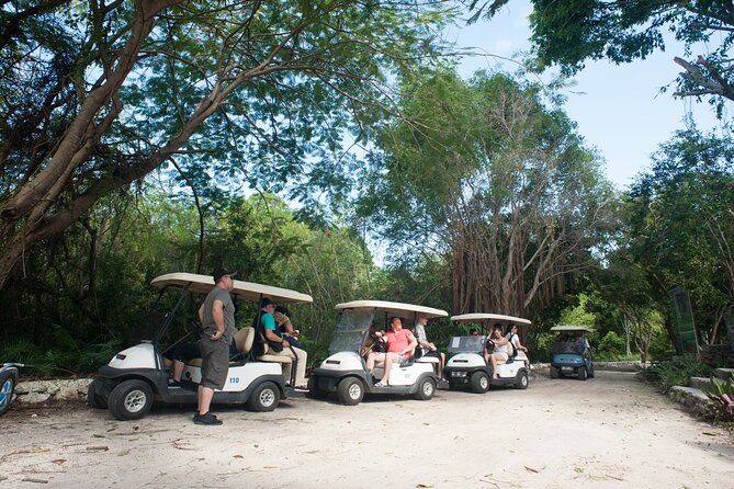 Eco Exploration: Golf Cart Adventure and Catamaran Cruise - A full day that mixes four kinds of Punta Cana
