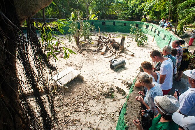 Eco Exploration: Golf Cart Adventure and Catamaran Cruise - Golf carts, gardens, and the first hotel remains