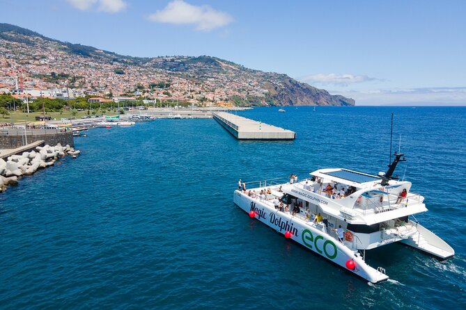 Eco-Friendly Catamaran Dolphin and Whale Watching - Why the eco-friendly approach matters