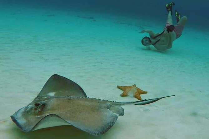 El Cielo Cozumel Snorkel tour by Catamaran - Why El Cielo makes this Cozumel trip different