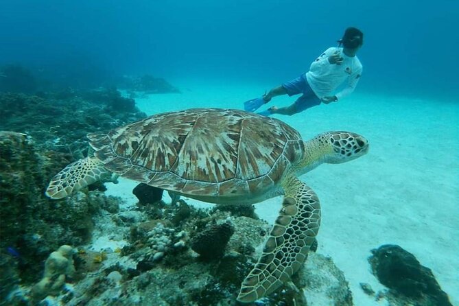 El Cielo Cozumel Snorkel tour by Catamaran - Safety, equipment, and comfort in the water