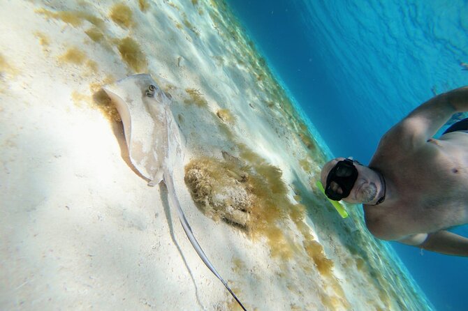 El Cielo Cozumel Snorkeling trip by Catamaran - Sun protection and comfort during four hours outside