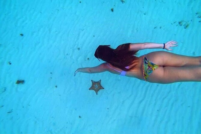 El Cielo Cozumel Snorkeling trip by Catamaran - Palancar Reef and Columbia Reef: the main swim stops