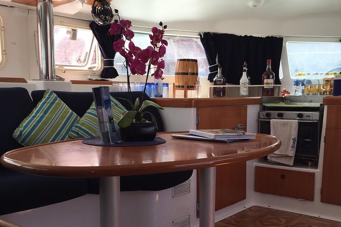 Elegance Catamaran turtles swim and lunch cruise - Stop two: shipwreck snorkeling and marine life