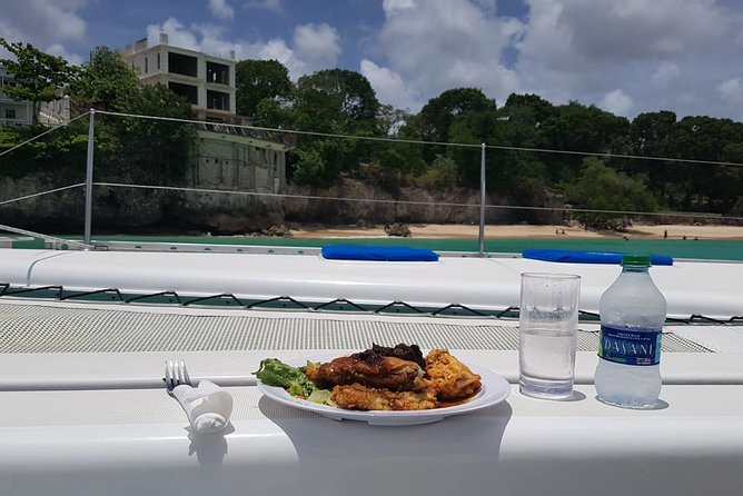 Elegance Catamaran turtles swim and lunch cruise - Stop one: 45 minutes with Barbados’ sea turtles
