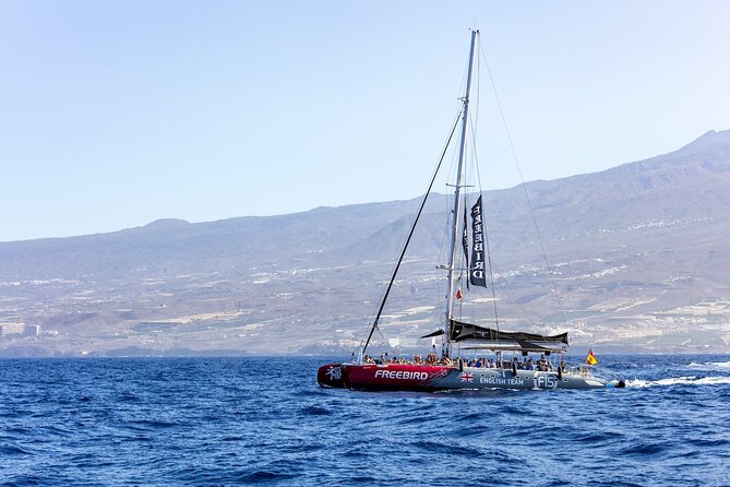 Exclusive Freebird Catamaran Whale and Dolphin Cruise to Caleta - La Caleta and the swim stop