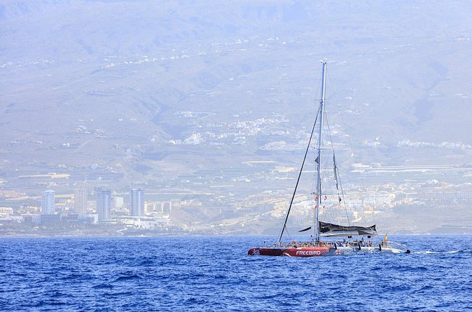 Exclusive Freebird Catamaran Whale and Dolphin Cruise to Caleta - Is $58.07 a fair price?