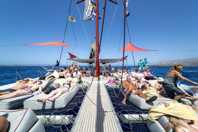 Exclusive Freebird Catamaran Whale and Dolphin Cruise to Caleta - Searching for dolphins and pilot whales