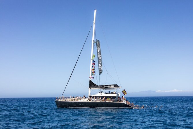 Exclusive Freebird Catamaran Whale & Dolphin to Masca From South - Why this catamaran trip works well from southern Tenerife