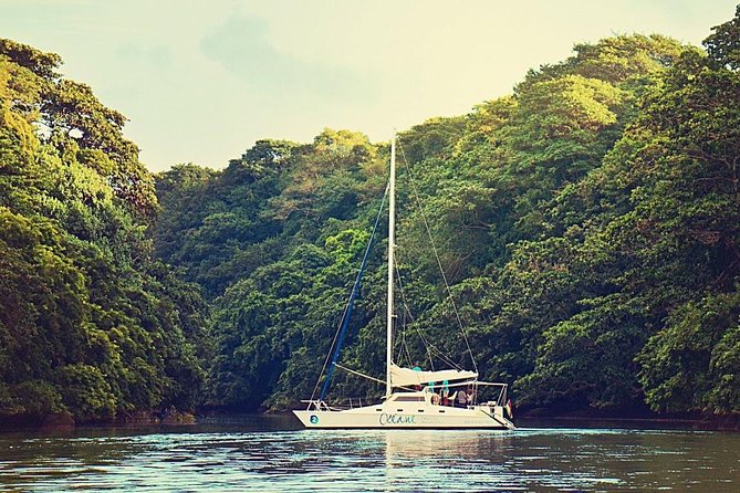 Exclusive Private Catamaran Adventure: Ile aux Cerf (Full Day Cruise incl Lunch) - Who will enjoy this Mauritius catamaran day?