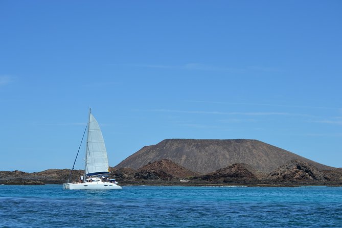 Exclusive Sailing Catamaran Experience to Lobos Island with lunch - Is $84.33 a fair price?