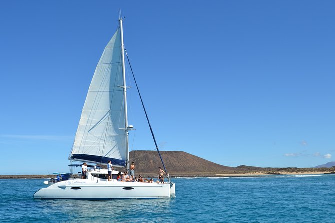 Exclusive Sailing Catamaran Experience to Lobos Island with lunch - My practical verdict
