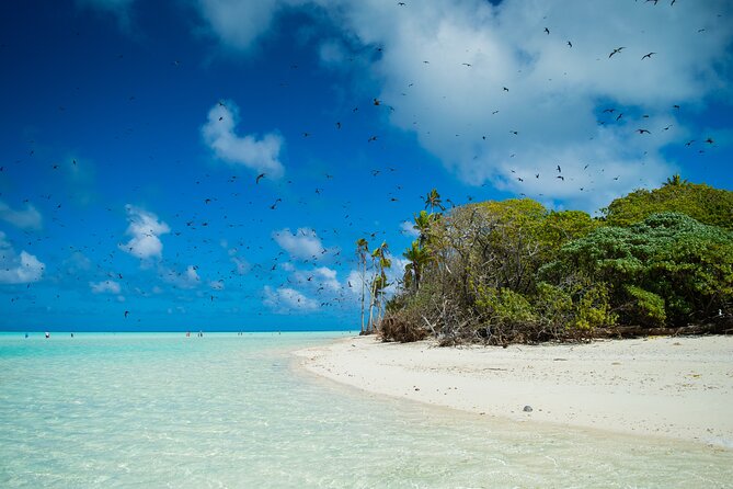 Excursion to Tetiaroa by Catamaran Visit Lunch Snorkeling - Three hours of ocean before the island