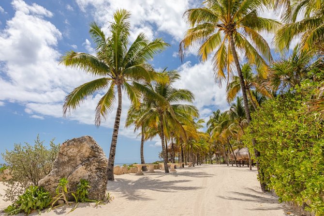Experience an amazing ecological park tour & explore Isla Mujeres by catamaran. - The strongest reasons to book