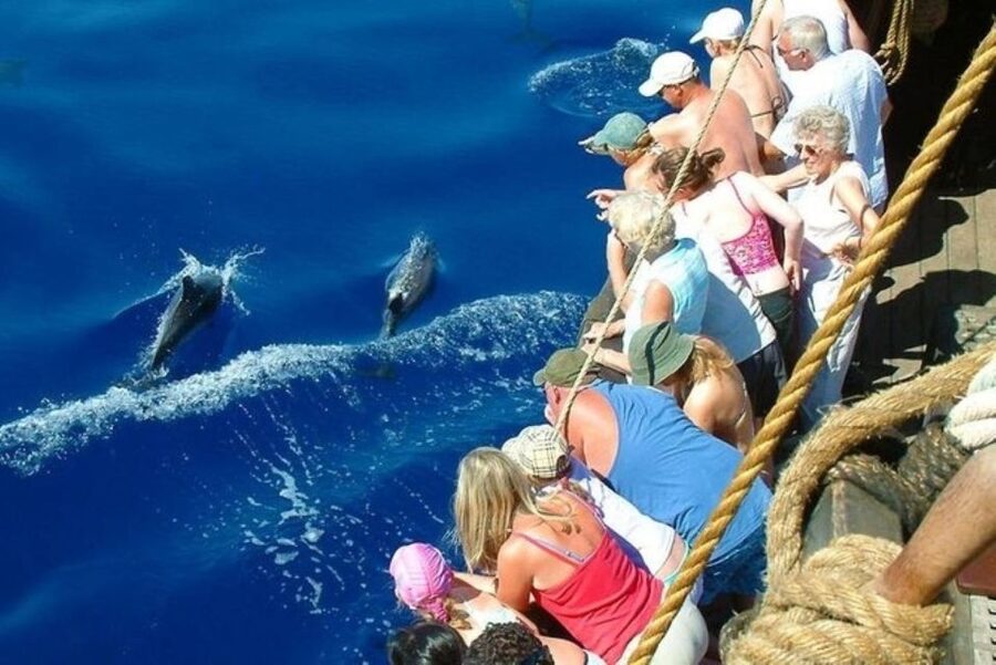Explore Alanya's Beauty Catamaran Boat Tour - Open water, swimming, and the foam party