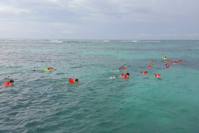 Fantastic Day Isla Mujeres Unlimited Catamaran from Riviera Maya - Playa Norte, the best chance to relax