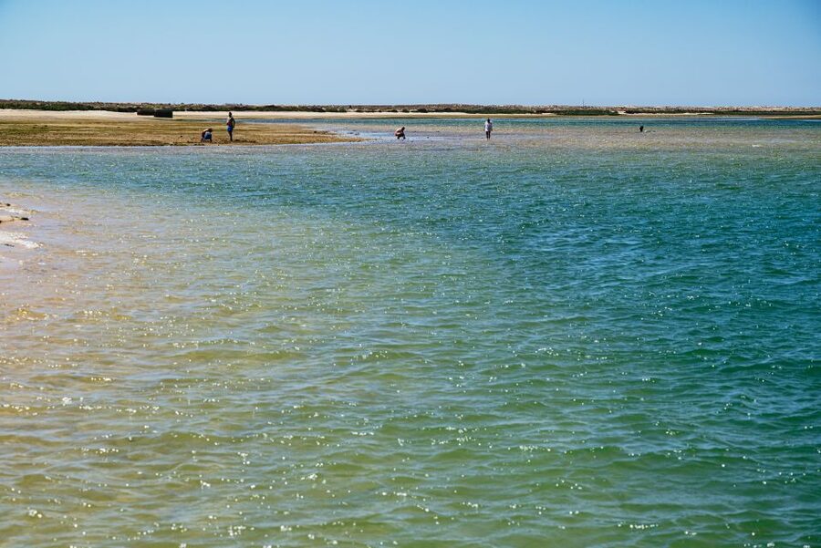 Faro: Deserta Island and Farol Island Catamaran Boat Trip - The catamaran, comfort, and accessibility