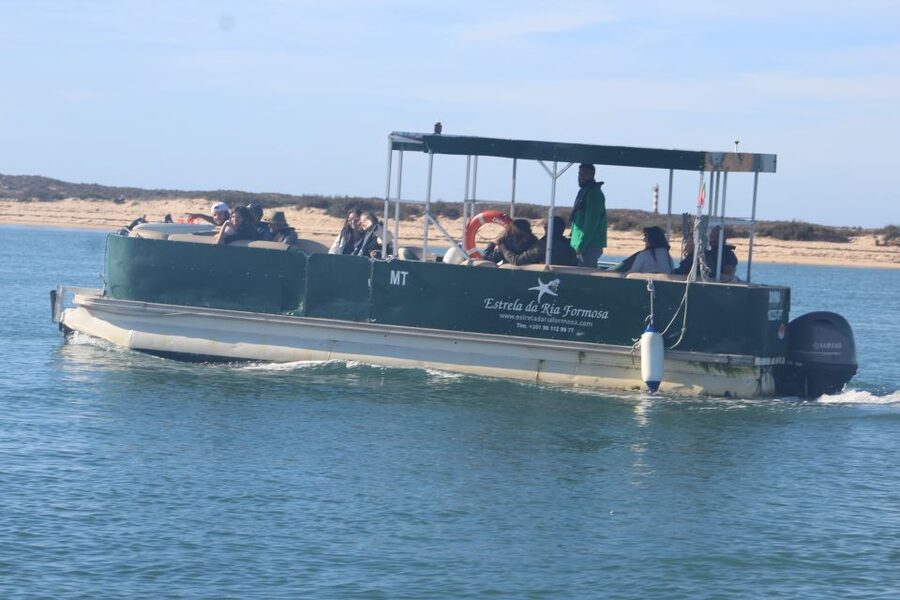 Faro: Ria Formosa Guided Sunset Tour by Catamaran - Guides, languages, and the human touch