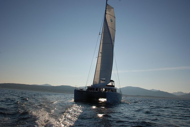 Fishing Trip with Luxury Catamaran in Tromso - Who will get the most from this outing